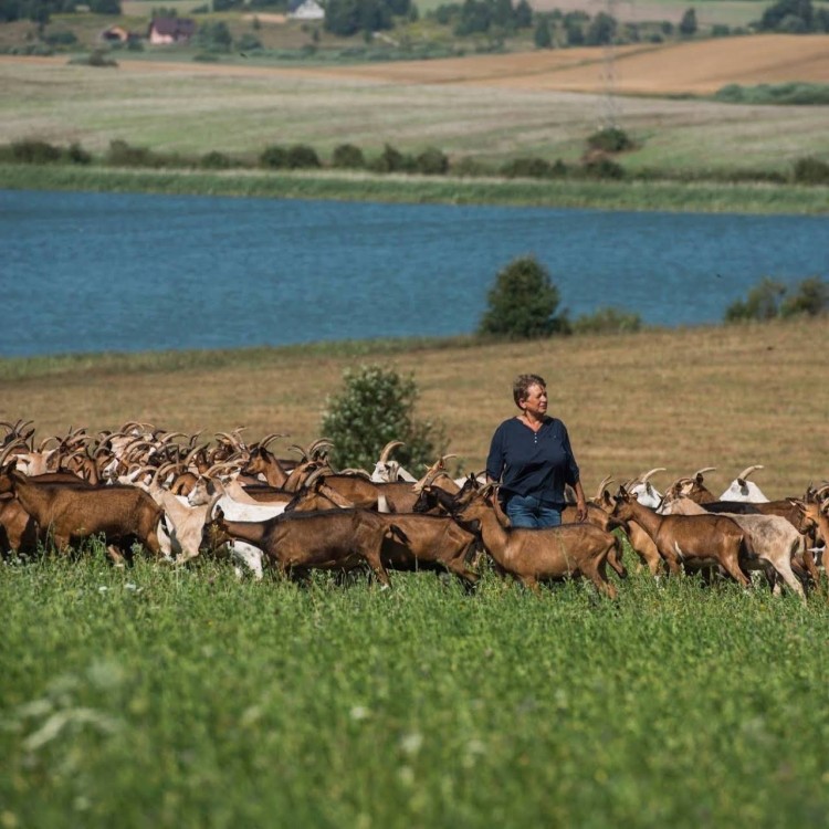 nad arem widok jezioro kozy.jpg